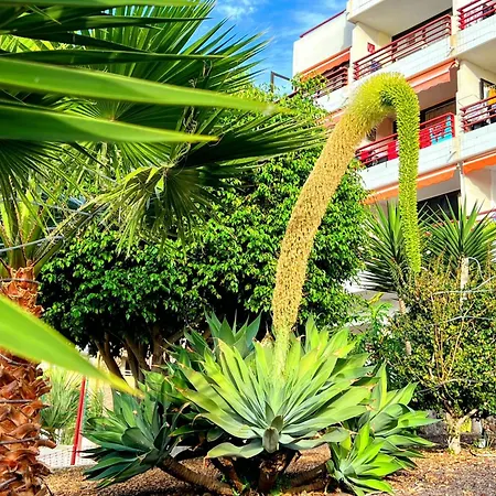 アパート Paulmarie Olympia