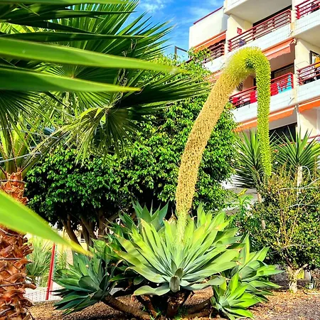 Apartment Paulmarie Olympia