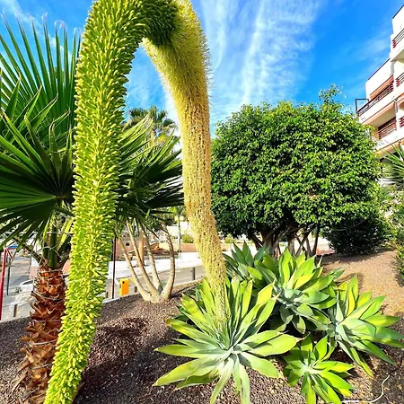 Paulmarie Olympia Apartment Playa de las Americas (Tenerife)