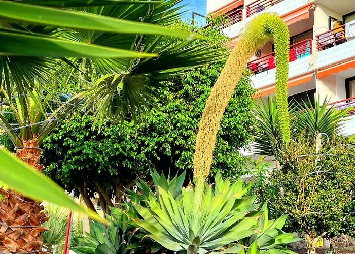 Apartament Paulmarie Olympia