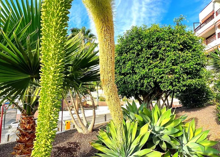 Paulmarie Olympia Apartman Playa de las Américas